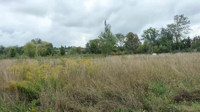 И воскресенье не переключиться на отдых ..напомнят надписи на скамейке ,где теперь очутились 🤪