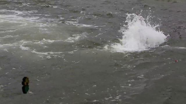 VII Congreso Internacional Sobre Gestión y Tratamiento Integral del Agua смотреть онлайн
