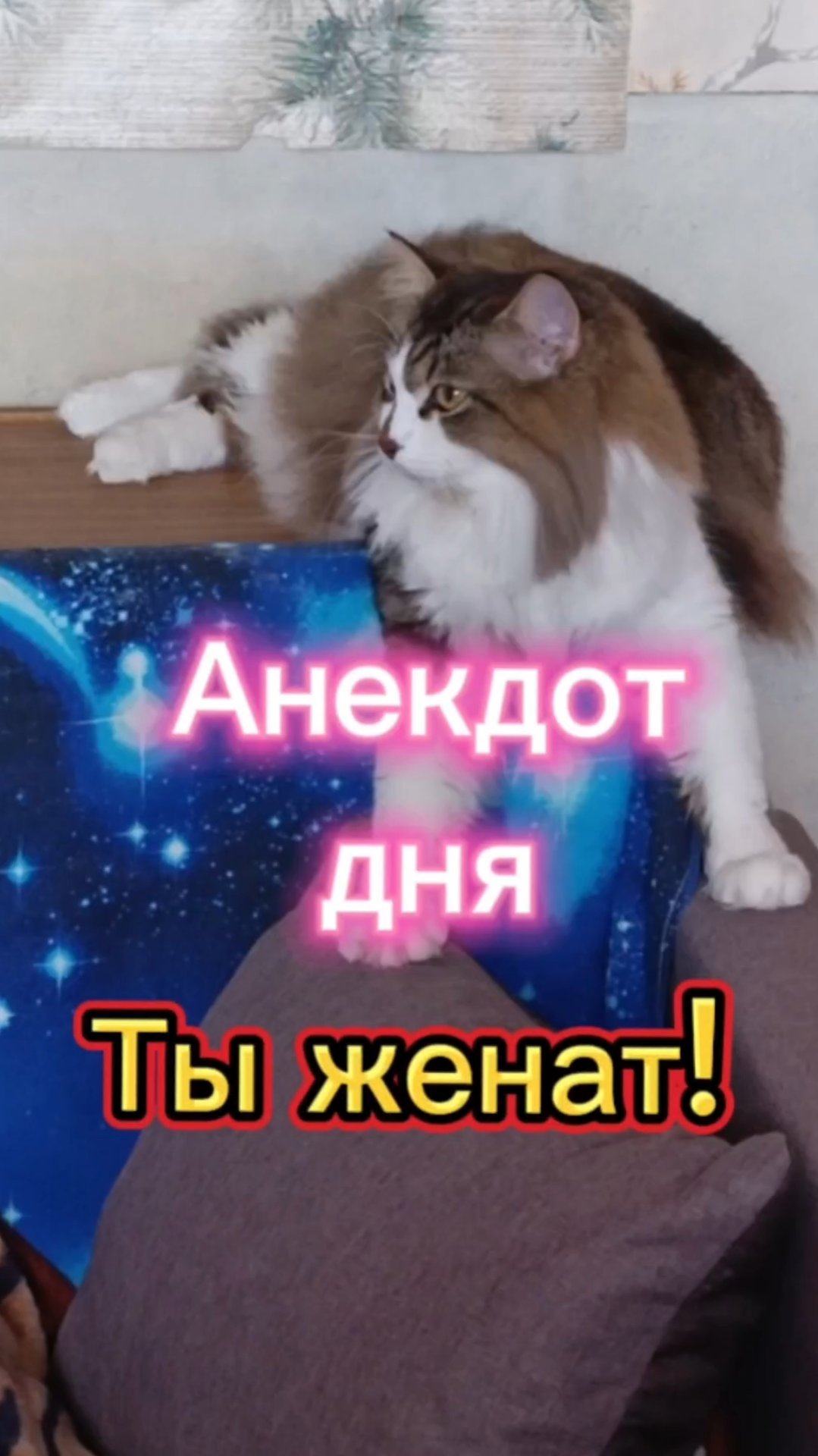 Анекдот дня. смотреть онлайн