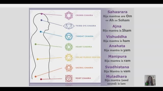 Школа Основы духовного развития урок 7. Чакры человека