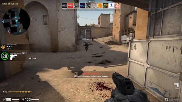 убивайте куриц