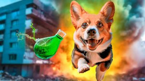 СТАВИЛИ ОПЫТЫ, ВЗОРВАЛИ КВАРТИРУ!! Корги Кекс говорящая собака