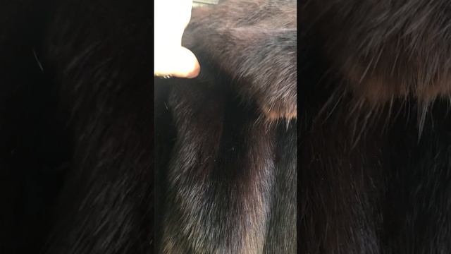 09-04-2025 смотреть онлайн