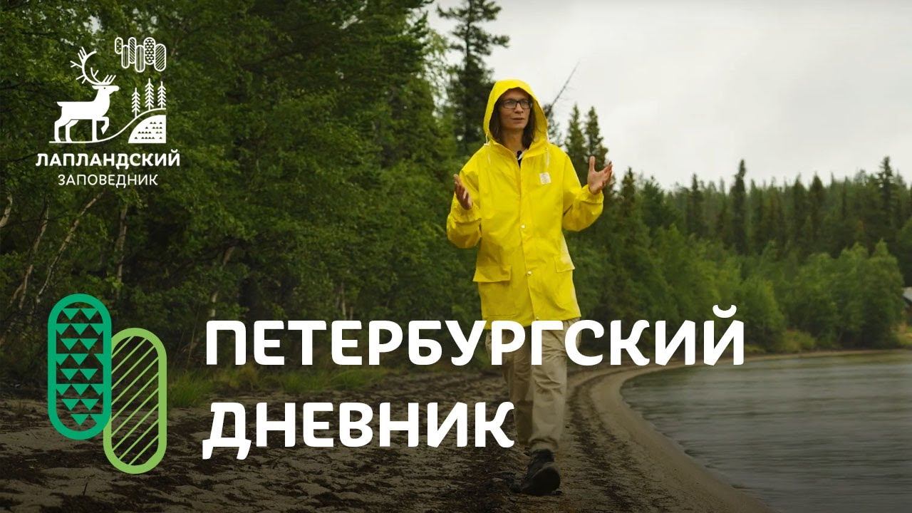 Серебряное Ожерелье России. Мурманская обл. Издание "Петербургский Дневник". Лапландский заповедник смотреть онлайн