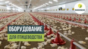 Оборудование для птицеводства SAGRADA