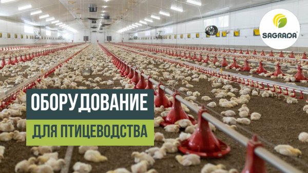 Оборудование для птицеводства SAGRADA