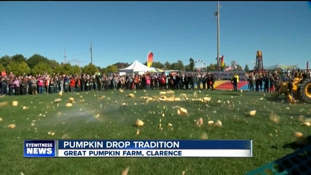 1000 pound pumpkin falls 100 feet смотреть онлайн
