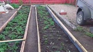 делаем 2ю грядку из отходов оцинковки