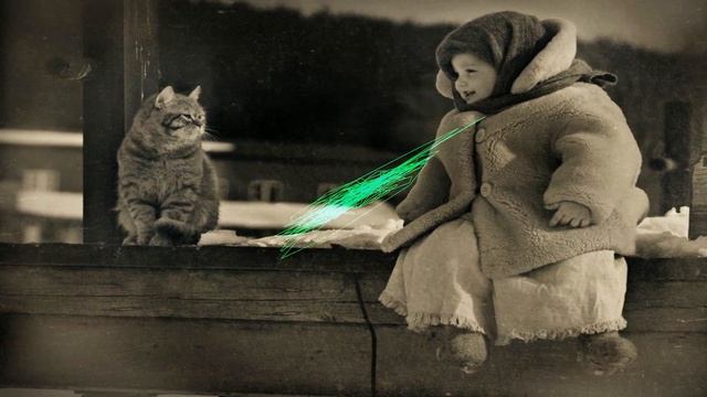 #phonk | Группа Ноль - Человек и Кошка (IOHAN ) PHONK REMIX смотреть онлайн