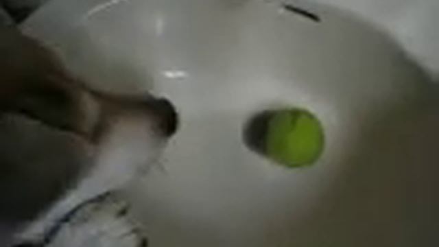 Clever dog - Nikki 49 sec '2004 смотреть онлайн