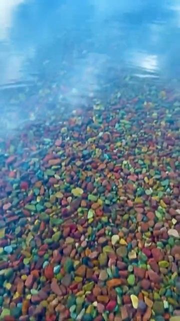 Glacier National park Usa who would you like to travel with? #shorts #youtubeshorts #travel смотреть онлайн