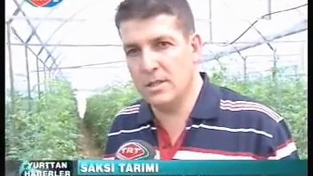 SAKSIDA DOMATES смотреть онлайн