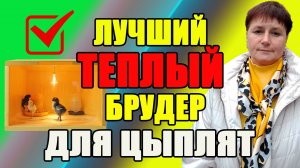 ТЕПЛЫЙ БРУДЕР, цыплята больше не замерзнут.