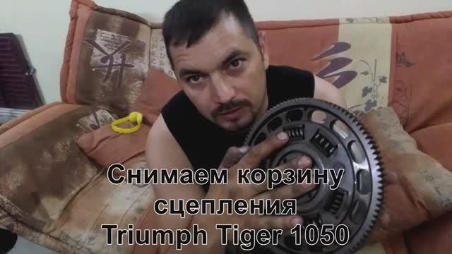 Снимаем корзину сцепления на Triumph Tiger 1050 смотреть онлайн