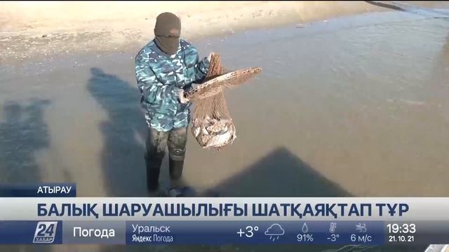 Жайықтың тартылуы балық шаруашылығына кесірін тигізді смотреть онлайн