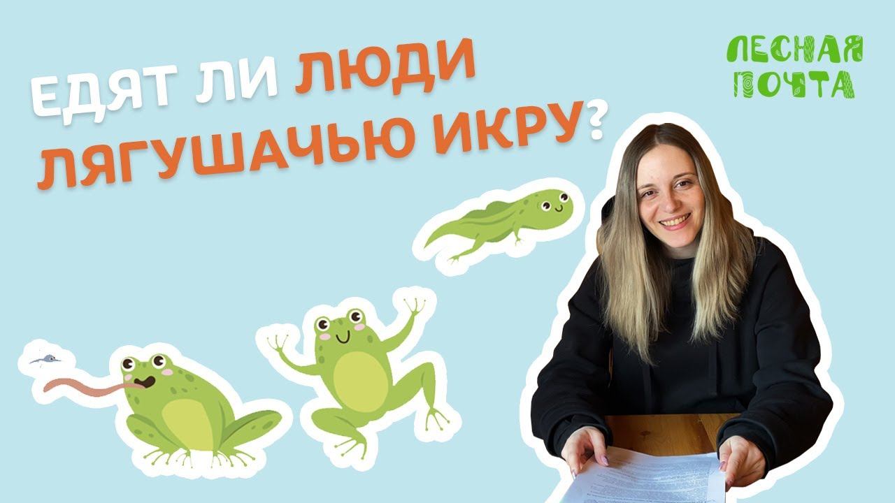 Едят ли люди лягушачью икру? Лесная почта Лапландского заповедника смотреть онлайн