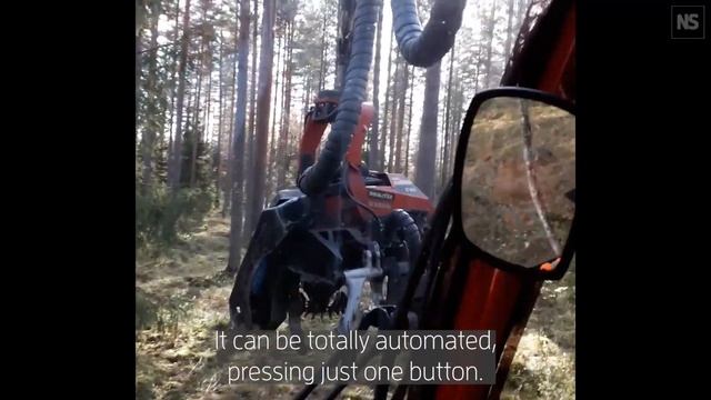 Meet Forest Scorpion, the wood-cutting technology behind Finland's circular bioeconomy смотреть онлайн