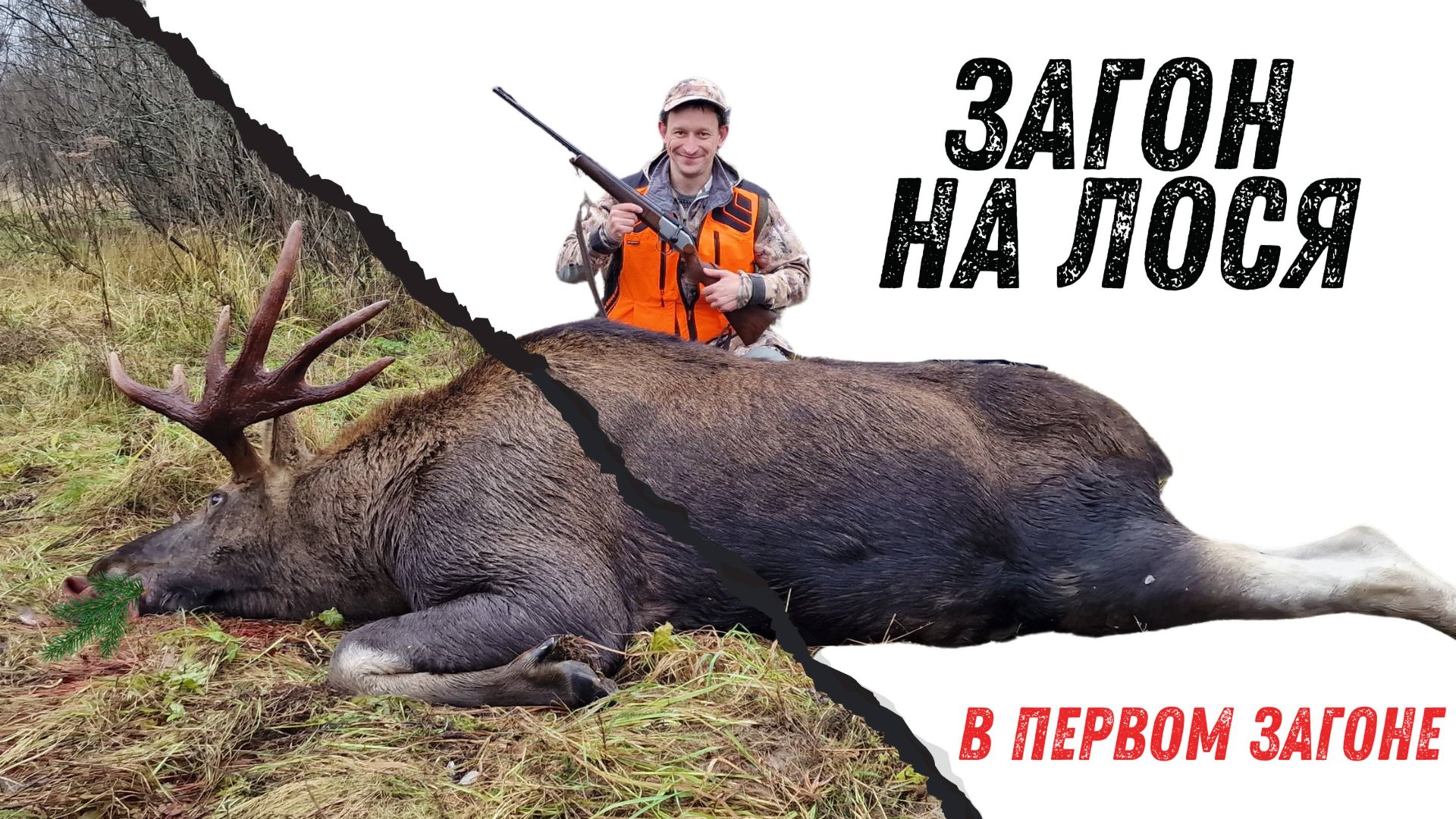 Загон на лося 2023-2024 (Добыли в первом загоне) смотреть онлайн