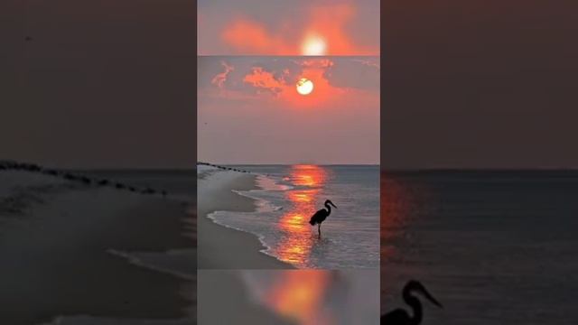 Вечерняя сказка... смотреть онлайн