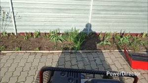 мини Трактор классика