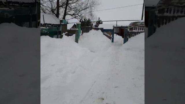 Нет собаки не худые... смотреть онлайн