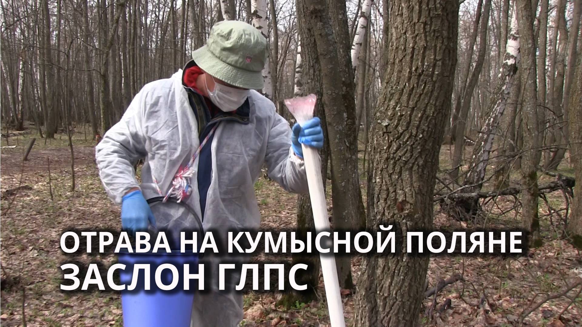 В Саратове на Кумысной поляне провели весеннюю травлю мышей смотреть онлайн