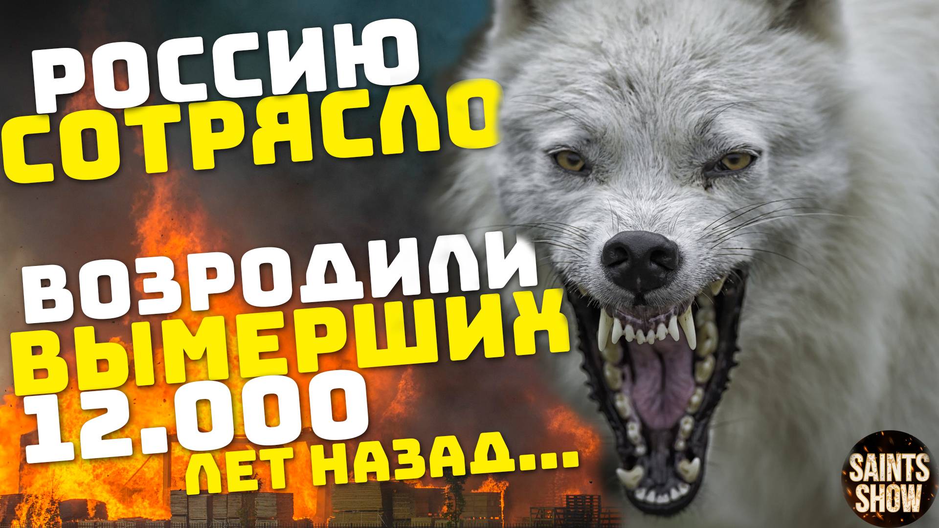 Землетрясение в России сегодня! Новости, Ужасный волк, пожар в Париже, Франция! Катаклизмы 9 апреля смотреть онлайн
