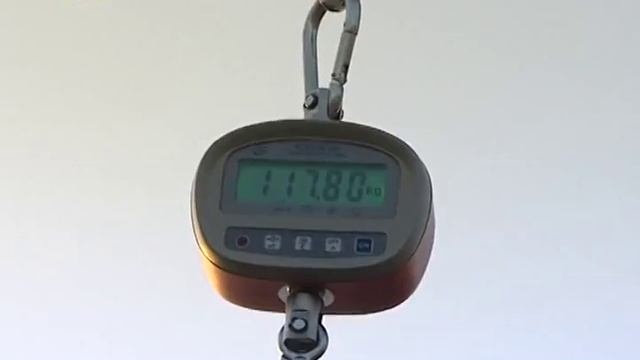 Kod Porera ulovljena tuna od dva metra смотреть онлайн