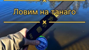 Ловим на танаго! Клев как из пулемета! #танаго