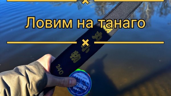 Ловим на танаго! Клев как из пулемета! #танаго