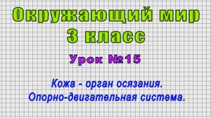 Окружающий мир 3 класс (Урок№15 - Кожа - орган осязания. Опорно-двигательная система.)