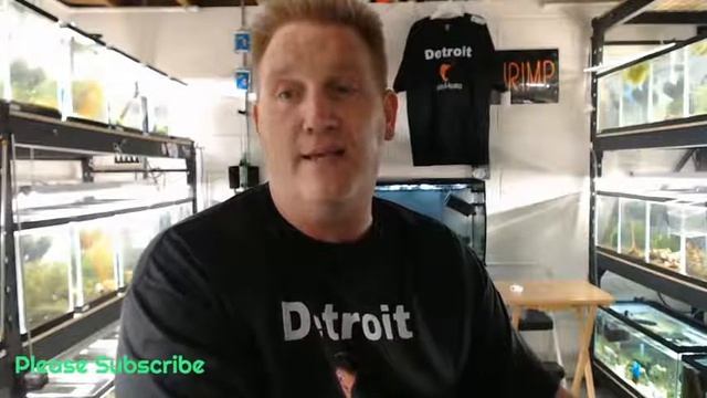 Hanging In The "D" #93..Q & A, Free moss with all shrimp orders, Shirts For Sale! смотреть онлайн