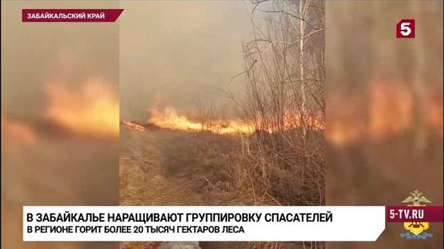 Авиалесоохрана перебрасывает в Забайкалье допсилы, 8 апреля 2025 смотреть онлайн