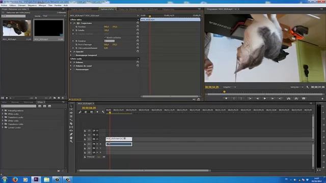 TUTO Retourner une video dans Premiere Pro 2015 смотреть онлайн
