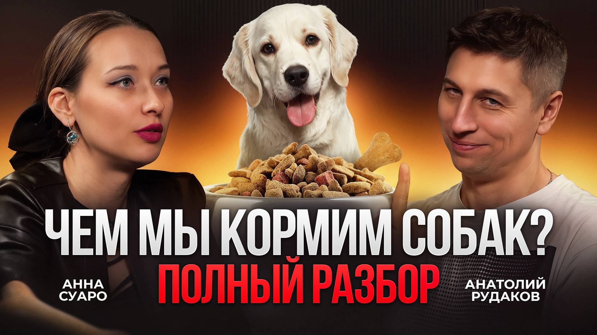 ВСЯ ПРАВДА ПРО КОРМ ДЛЯ СОБАК. Дорогие корма - это просто маркетинг? смотреть онлайн