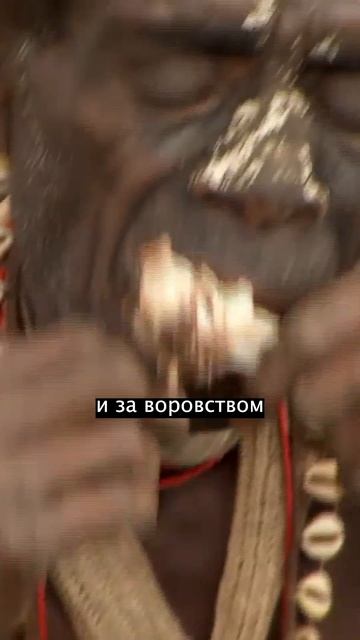 Отдых с каннибалами смотреть онлайн