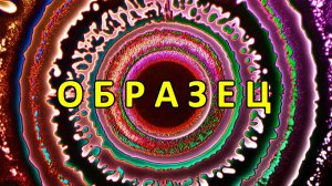 Образец — Цветомузыка, Виджеинг, Арт-пространство (FHD 60 FPS) №29