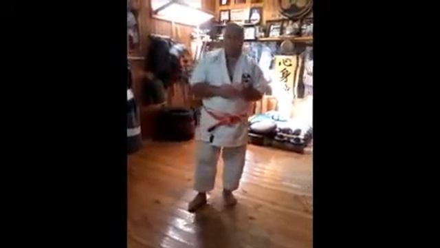 Seminar Wansu Kata ( cut inertia ) смотреть онлайн