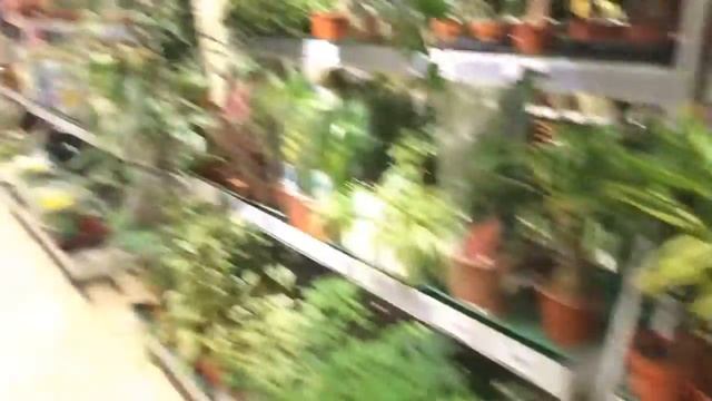 Январь. Едем в деревню, а по пути, конечно же, магазины. Ну как без этого прожить!!! смотреть онлайн