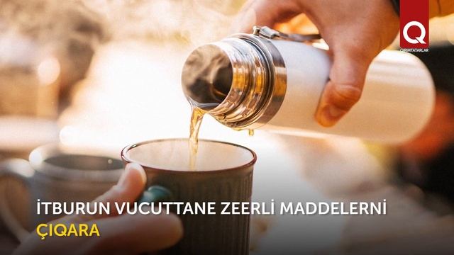 İt burun смотреть онлайн