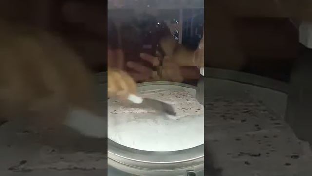 Rusyada Tayland Dondurması-Dünyanın En iyi tatlı.Тайское мороженое в России лучшее мороженое в мир смотреть онлайн