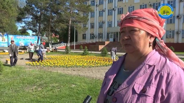 Төле би ауылы абаттандыру жұмысы. смотреть онлайн