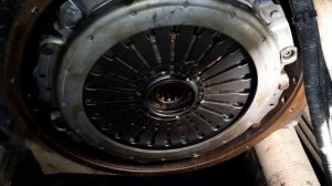 Сцепление MAN, нюансы