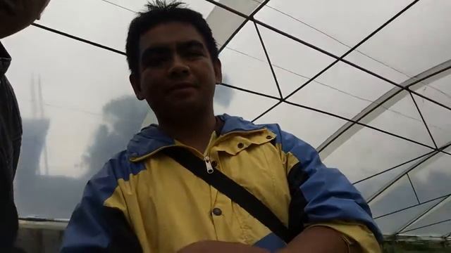 Emperor Sweet pepper in the highland. inside the greenhouse смотреть онлайн