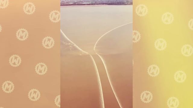 25 Incredible Moments Caught on Camera смотреть онлайн