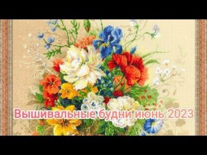 Вышивальные будни июнь 2023/вышивка крестом/Риолис/Лукас/ Panna/