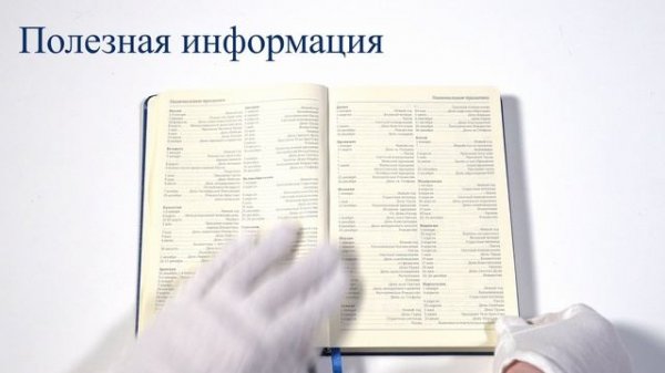 Обзор классического ежедневника Bruno Visconti MEGAPOLIS 3-281