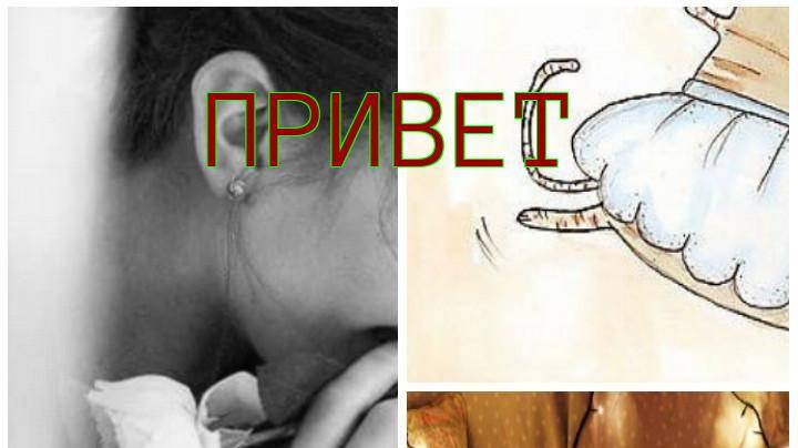 мне нравится
#топыкатегорий