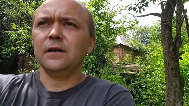 Вароатоз: Амітраз + Молочна сироватка . Випробування смотреть онлайн