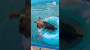 Даша на море...